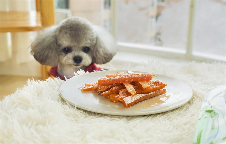 Structure And Technology Of Pet Food Production Line