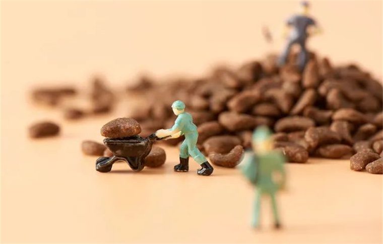 High Capacity Pet Snack Production Line